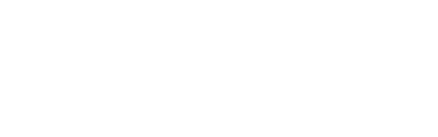 Leona Travel
